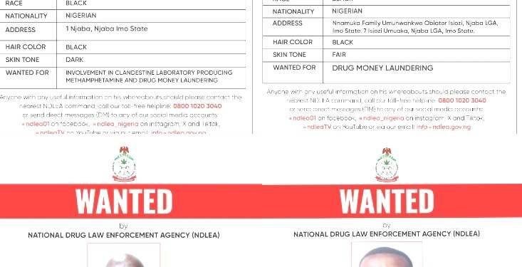 NDLEA Blocks ₦9.8Bn Drug Money, Declares Kingpin, 3 Others Wanted
