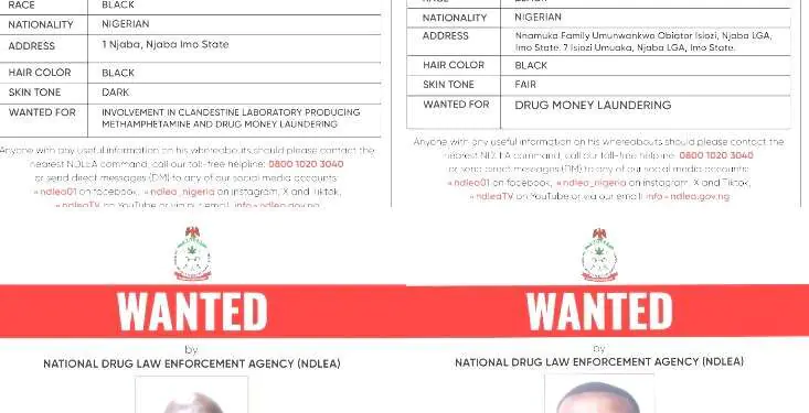 NDLEA Blocks ₦9.8Bn Drug Money, Declares Kingpin, 3 Others Wanted