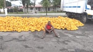 65 Battalion Troops Intercept Large Consignment Of Illicit Drugs On Lagos-Calabar Coastal Road