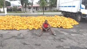 65 Battalion Troops Intercept Large Consignment Of Illicit Drugs On Lagos-Calabar Coastal Road