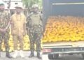 65 Battalion Troops Intercept Large Consignment Of Illicit Drugs On Lagos-Calabar Coastal Road
