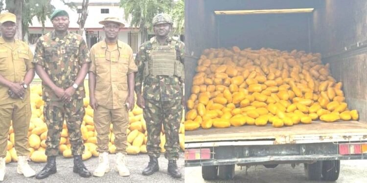 65 Battalion Troops Intercept Large Consignment Of Illicit Drugs On Lagos-Calabar Coastal Road