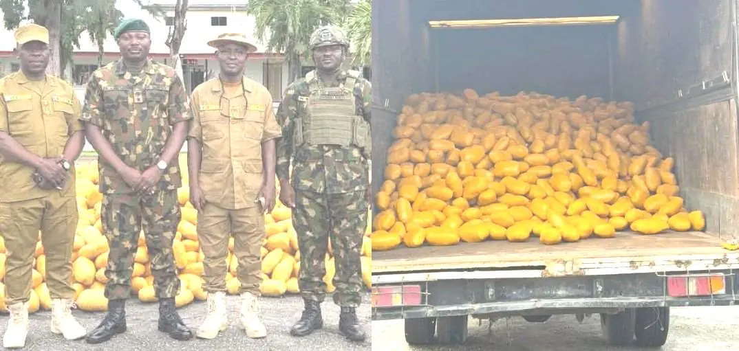 65 Battalion Troops Intercept Large Consignment Of Illicit Drugs On Lagos-Calabar Coastal Road