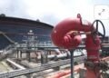 US Lauds Dangote Refinery As Nigeria’s Petroleum Exports Surge