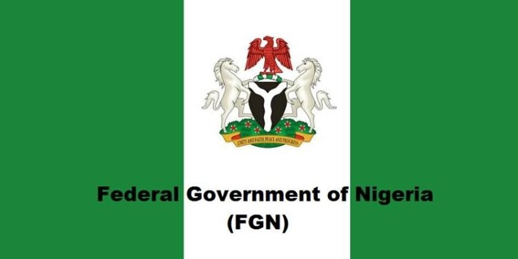 FG Announces 7-Week Roadmap For National Policing Bill