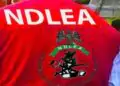 NDLEA Arrests 101-Year-Old Great Grandma, Intercepts Cocaine In Fufu