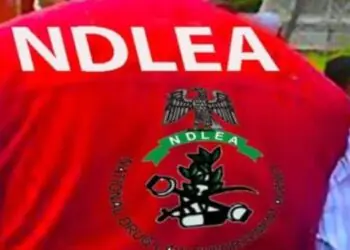 NDLEA Arrests 101-Year-Old Great Grandma, Intercepts Cocaine In Fufu