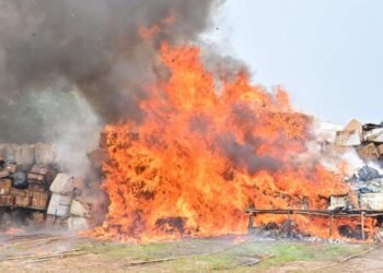 NDLEA Destroys ₦301 Billion Illicit Drugs In Lagos