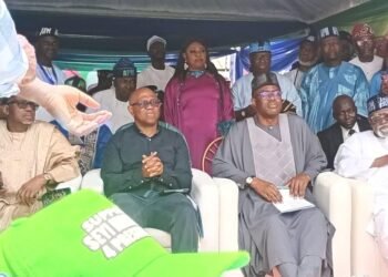 Nigeria's Crude Oil Must Provide Measurable Benefits To Nigerians -Makinde